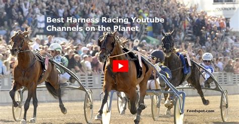 australian harness racing|30 Harness Racing Youtube Channels (Trotting Horse Racing).